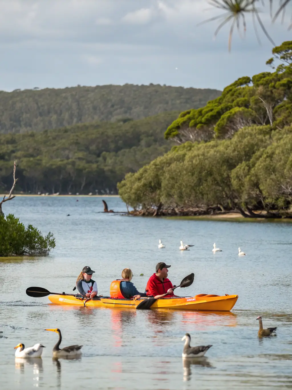 A serene image of a family enjoying kayaking on a calm river, highlighting the relaxation and natural beauty offered by ABOARD RAFTING's recreational water activities.